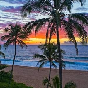 Meet your Posher, Iva